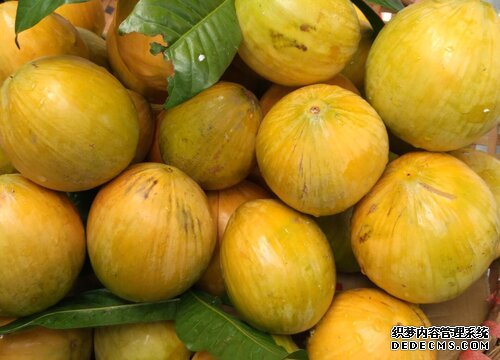 蛋黄果2