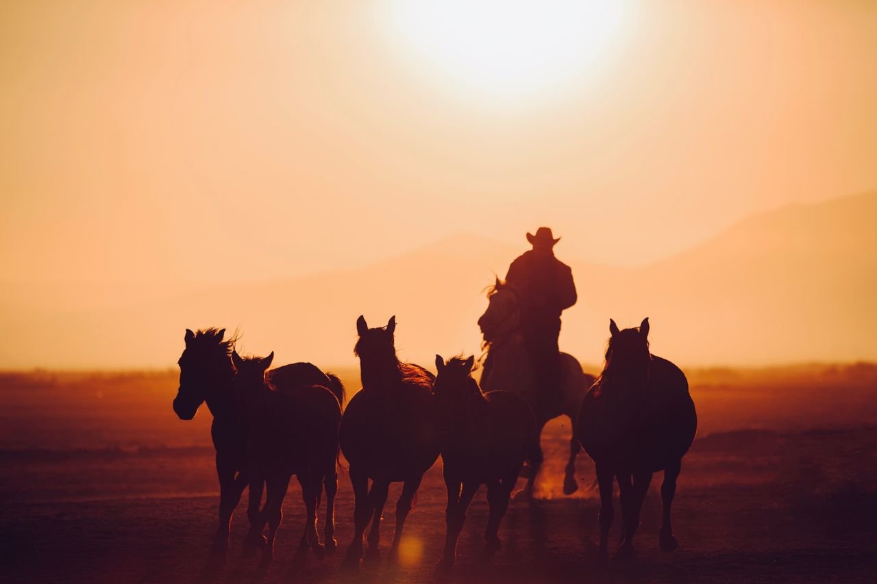 Wild West Gold